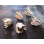 Kép 2/2 - Nagy gyöngykupak, végzáró, bojt kupak, bőr vég, antik ezüst színű, 16x16 mm