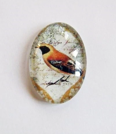 Vintage madár mintás üveglencse, kaboson, 25x18 mm