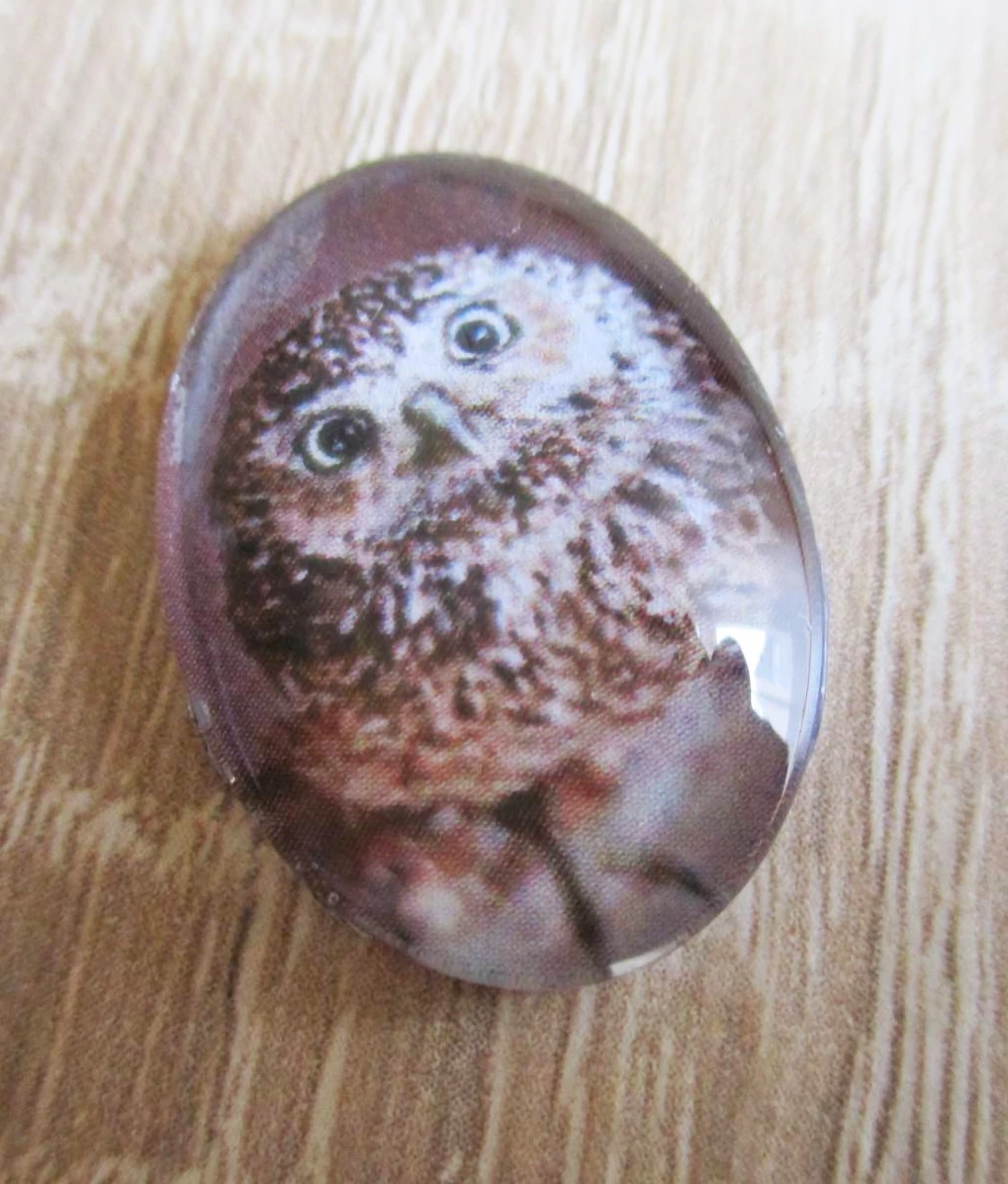 Bagoly mintás üveglencse, kaboson, 25x18 mm